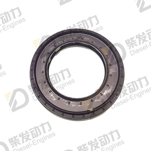 Sealing ring 17264219